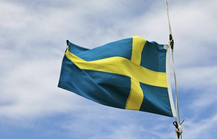 包含瑞典篮球队捍卫荣誉，取得国际赛事冠军的词条